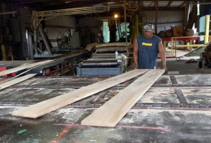 Worker at the mill examining two boards produced