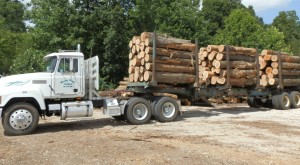 Tractor trailer delivering logs to the mill