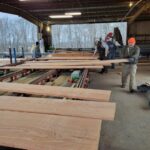 Red Oak lumber making its way along the green chain